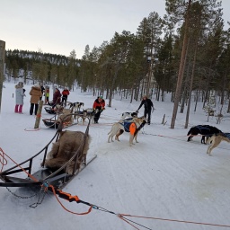 finnland rundreise 2025_73